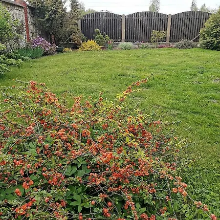 Garden View Semesterbostad *
